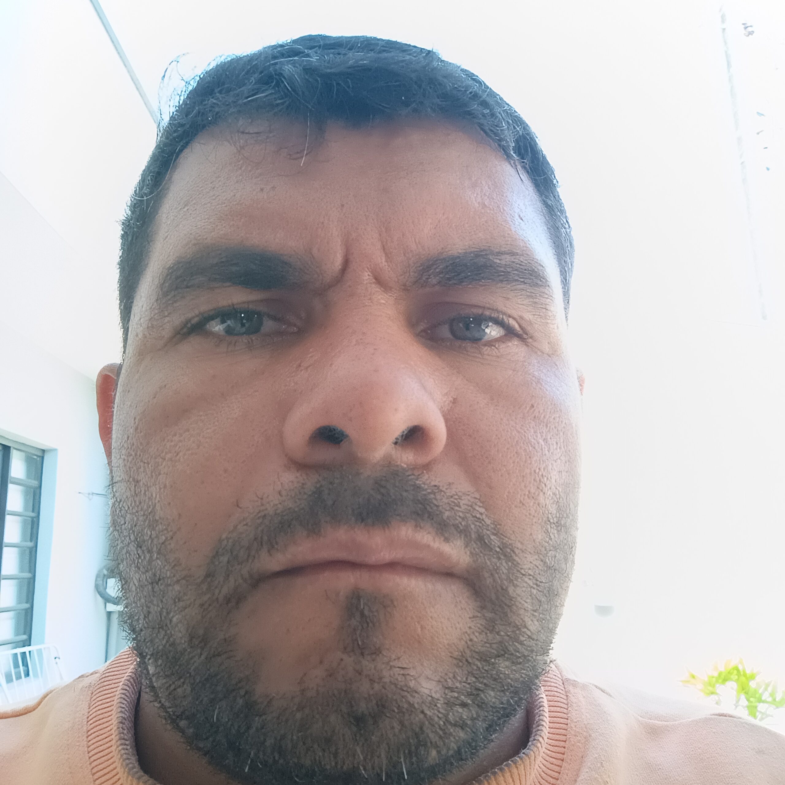 5541988716979